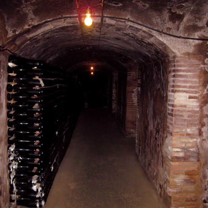 bodega-caves-rekondo01