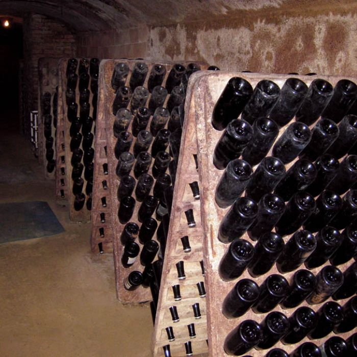 bodega-caves-rekondo02